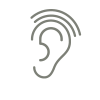 Icon Ohr